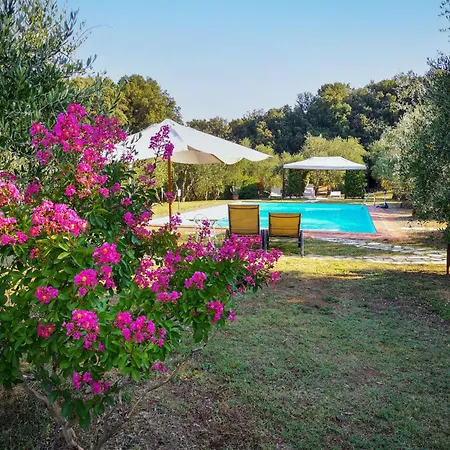 Holiday Il Nespolo By Interhome 別荘 *